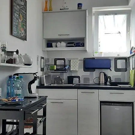 בית אירוח U Gosi *