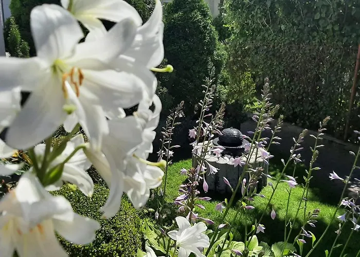 Habitación en casa particular U Gosi